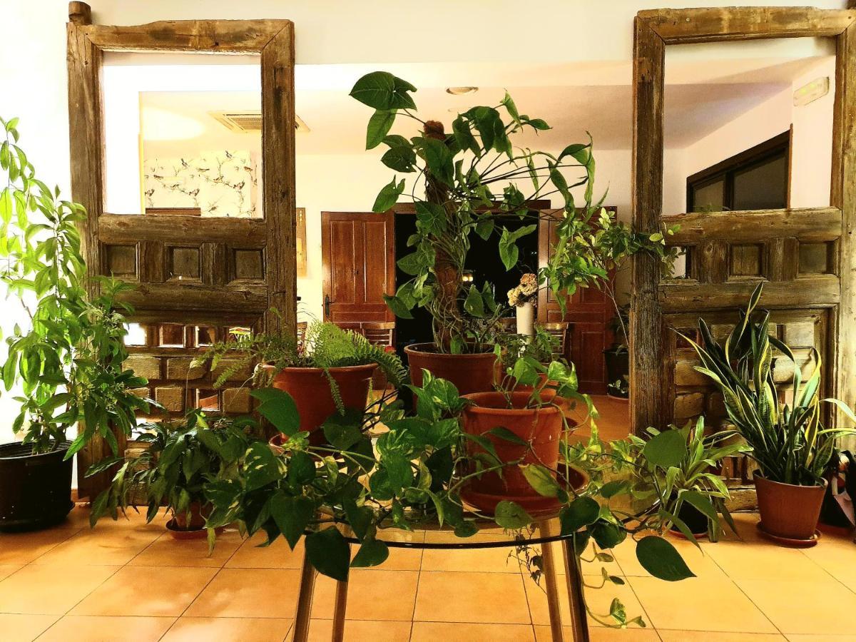 Hotel El Rincon De La Espe à Albalate De Zorita Extérieur photo