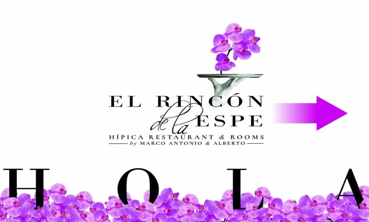 Hotel El Rincon De La Espe à Albalate De Zorita Extérieur photo